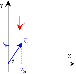 Cine_14.gif (2260 bytes)
