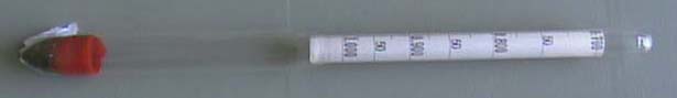 densimetro.JPG (5576 bytes)
