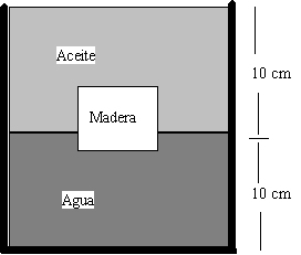 fluidos_01.gif (3149 bytes)