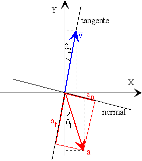 Cine_101.gif (3408 bytes)