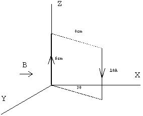 magnetico_05.gif (2046 bytes)